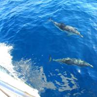 Our services in the sector of USA Annapolis Maryland